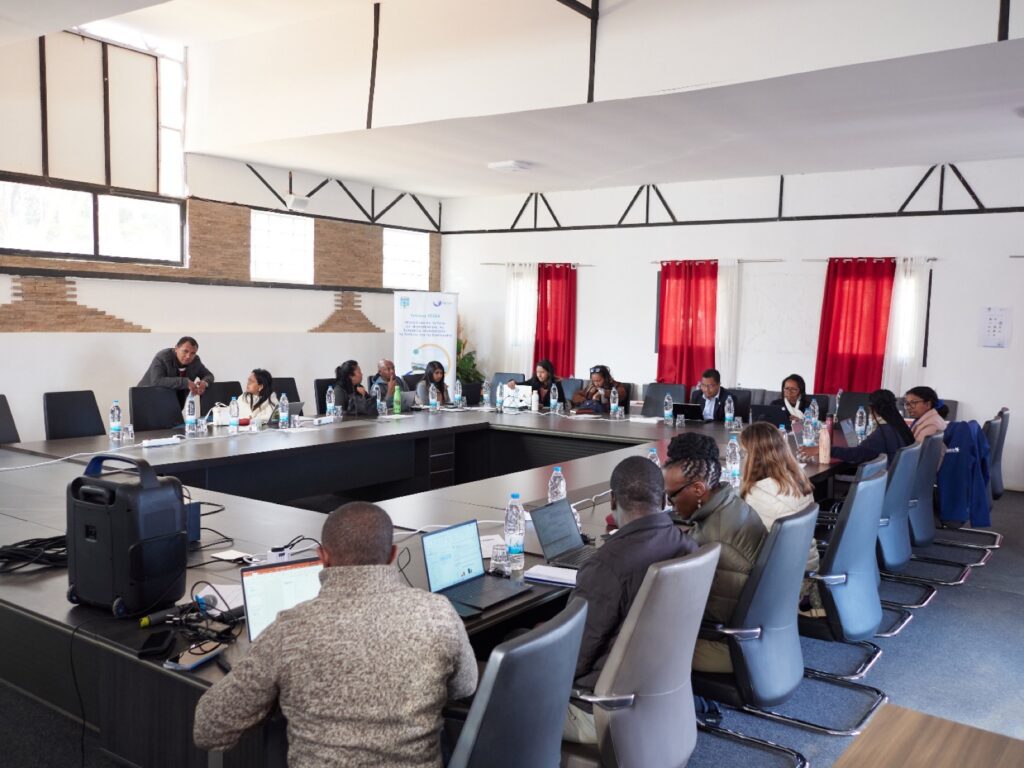 Participants à l’atelier national de coordination, ILO Hotel Anosiala, 2026